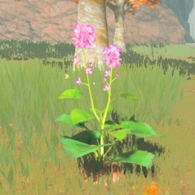 Big Hearty Radish