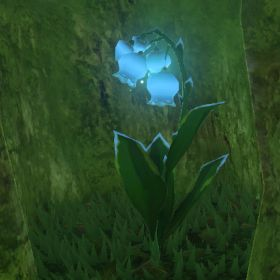 Blue Nightshade
