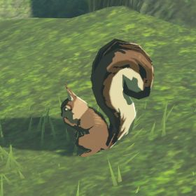 Bushy-tailed Squirrel