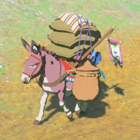 Donkey