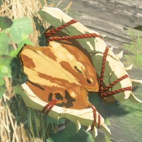 Dragonbone Boko Shield