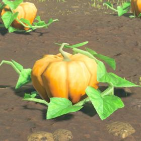 Fortified Pumpkin
