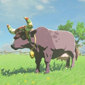 Hateno Cow