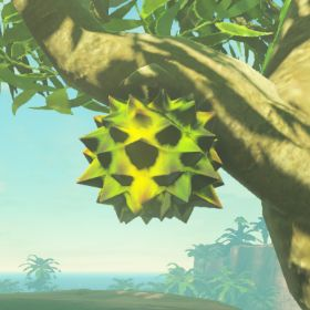 Hearty Durian