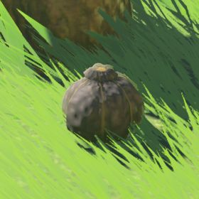 Hearty Truffle