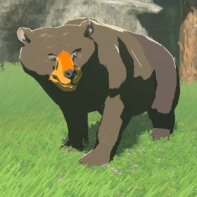Honeyvore Bear