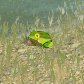 Hot-footed Frog