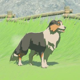 Hylian Retriever