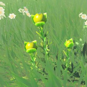 Hyrule Herb