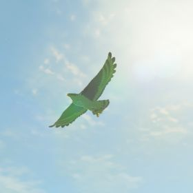 Islander Hawk