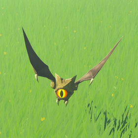 奇斯