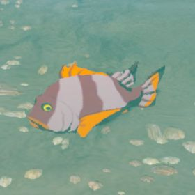 Mighty Porgy