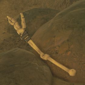 Moblin Arm