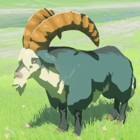 Mountain Goat