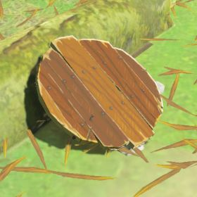 Pot Lid