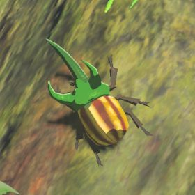 Rugged Rhino Beetle