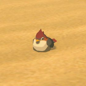 Sand Sparrow