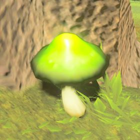 Stamella Shroom