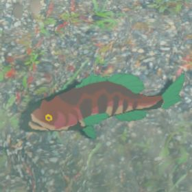 Staminoka Bass
