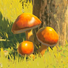Sunshroom