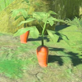 Swift Carrot