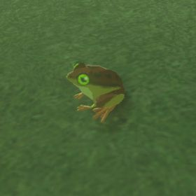 Tireless Frog