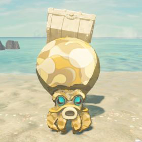 treasure octorok