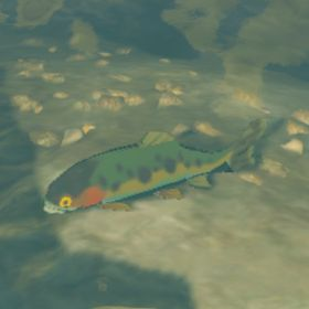 Voltfin Trout