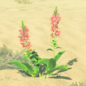 Warm Safflina