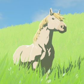 White Horse